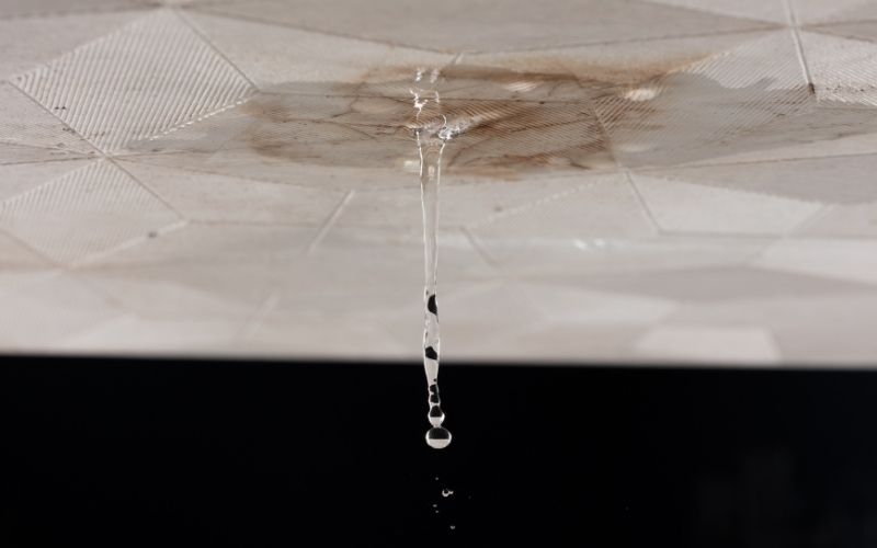 5 signes d'une fuite d'eau cachée