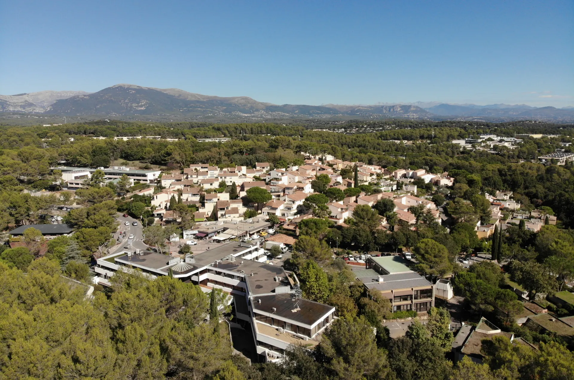 Vue aérienne d’un quartier résidentiel de Sophia Antipolis au milieu des pins